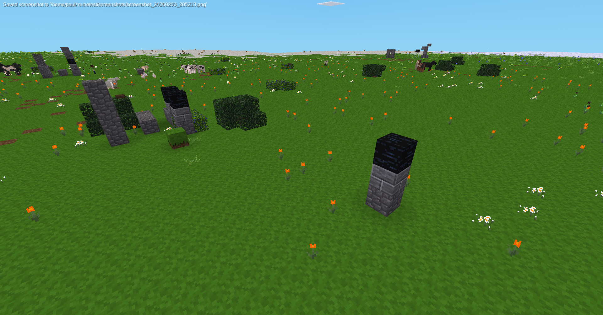 Amy's pillar alternate view